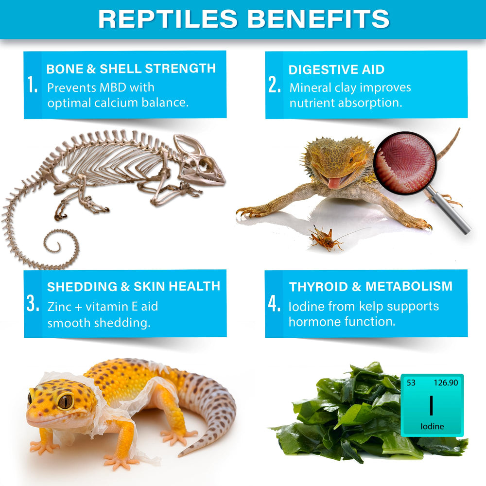 Gargeer Complete Mineral Reptile with kelp iodine supports thyroid health.