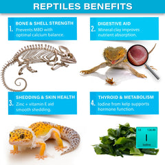 Gargeer Complete Mineral Reptile with kelp iodine supports thyroid health.