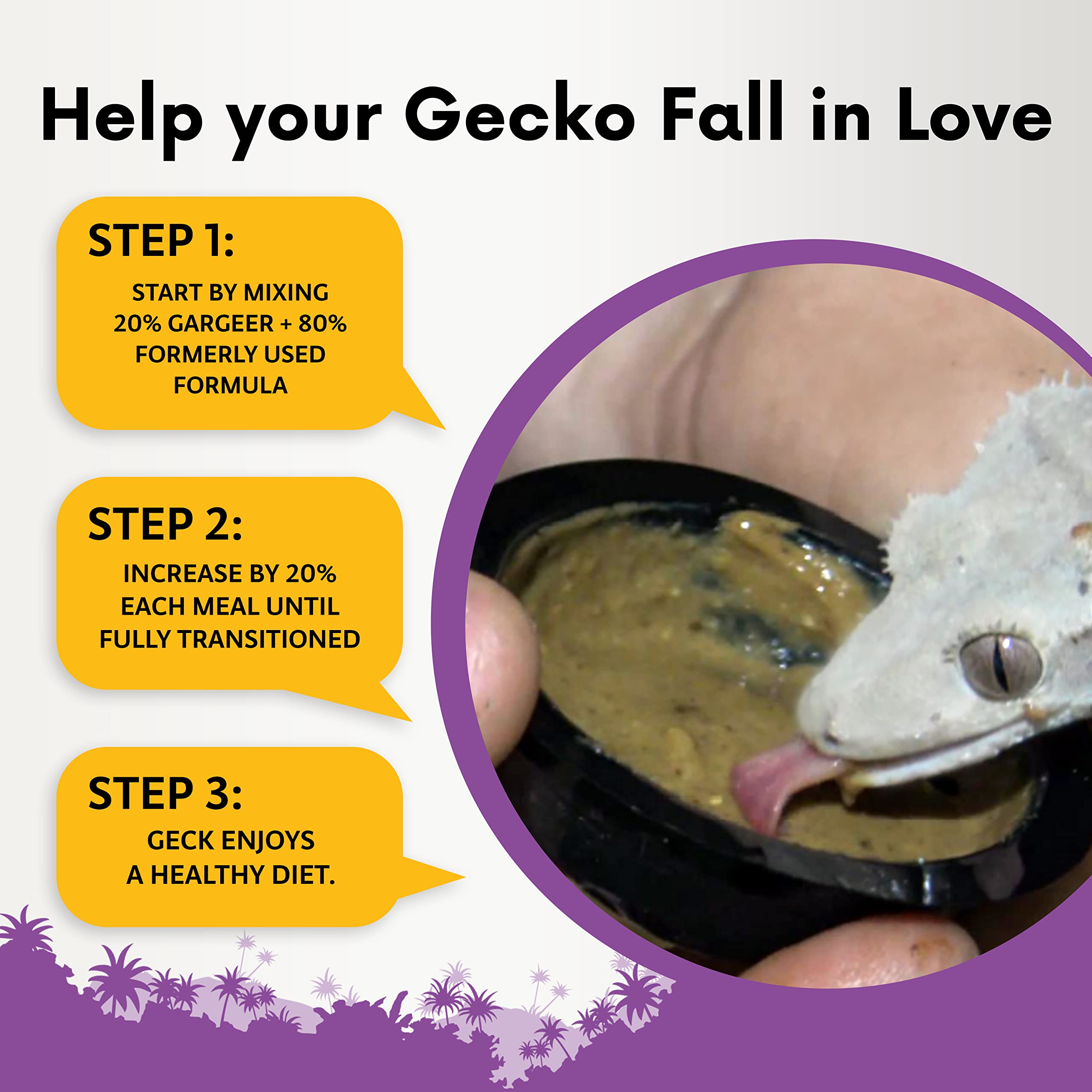 Gargeer crested gecko diet daily-use mixing bowl demonstrates quick prep for mealtime.