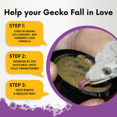 Gargeer crested gecko diet daily-use mixing bowl demonstrates quick prep for mealtime.