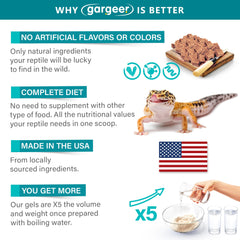 Gargeer Leopard Gecko Food 3oz ready gel-serve for interactive mealtime