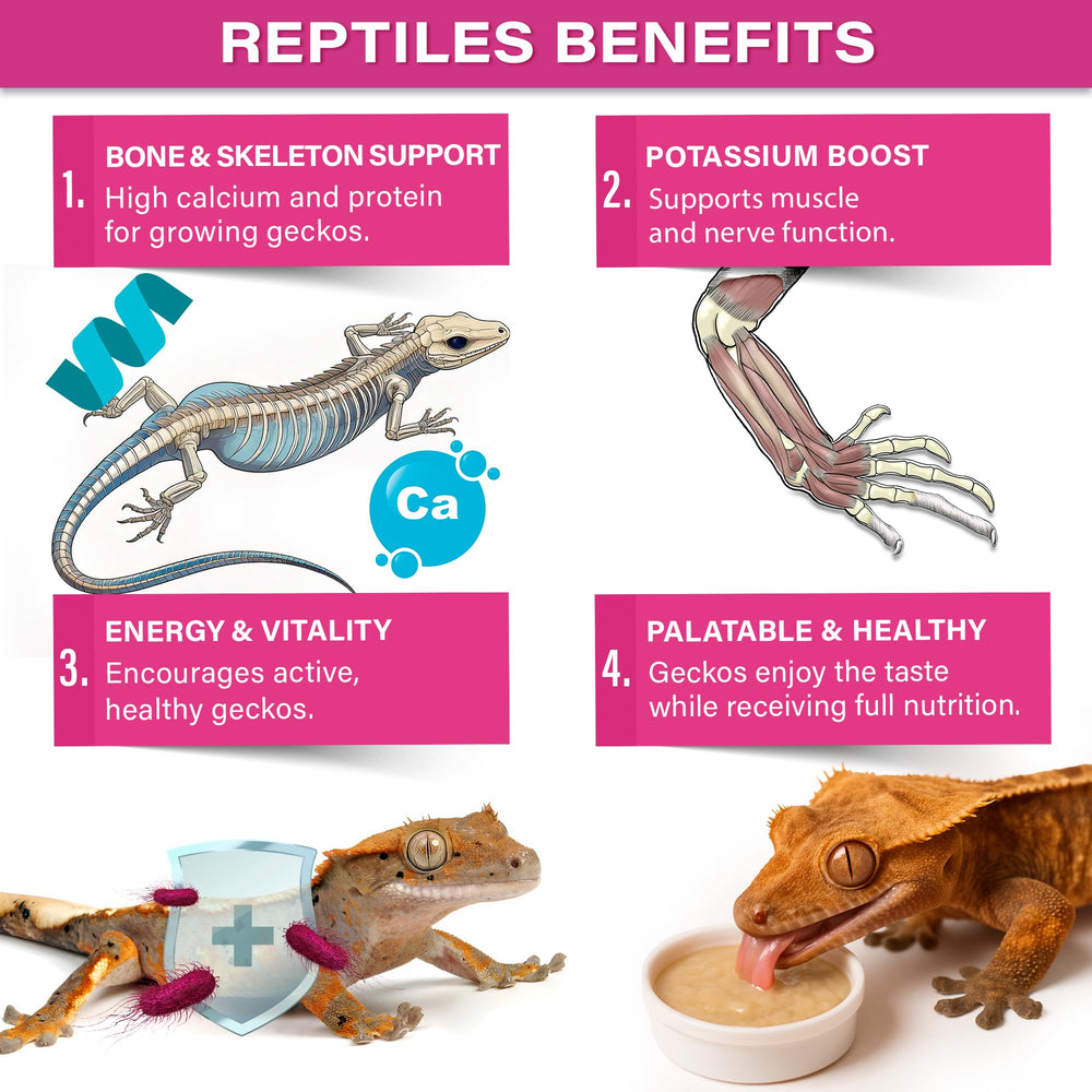 Gargeer Picky Geck Growth fruit-base image highlights banana, mango, date flavors that entice feeding.