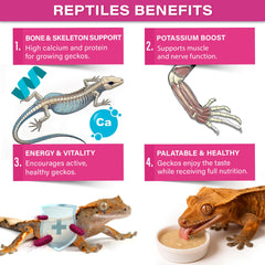 Gargeer Picky Geck Growth fruit-base image highlights banana, mango, date flavors that entice feeding.