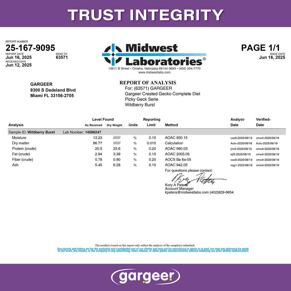 Gargeer Picky Geck Wildberry Burst gecko meal-time moment supports natural feeding behavior.