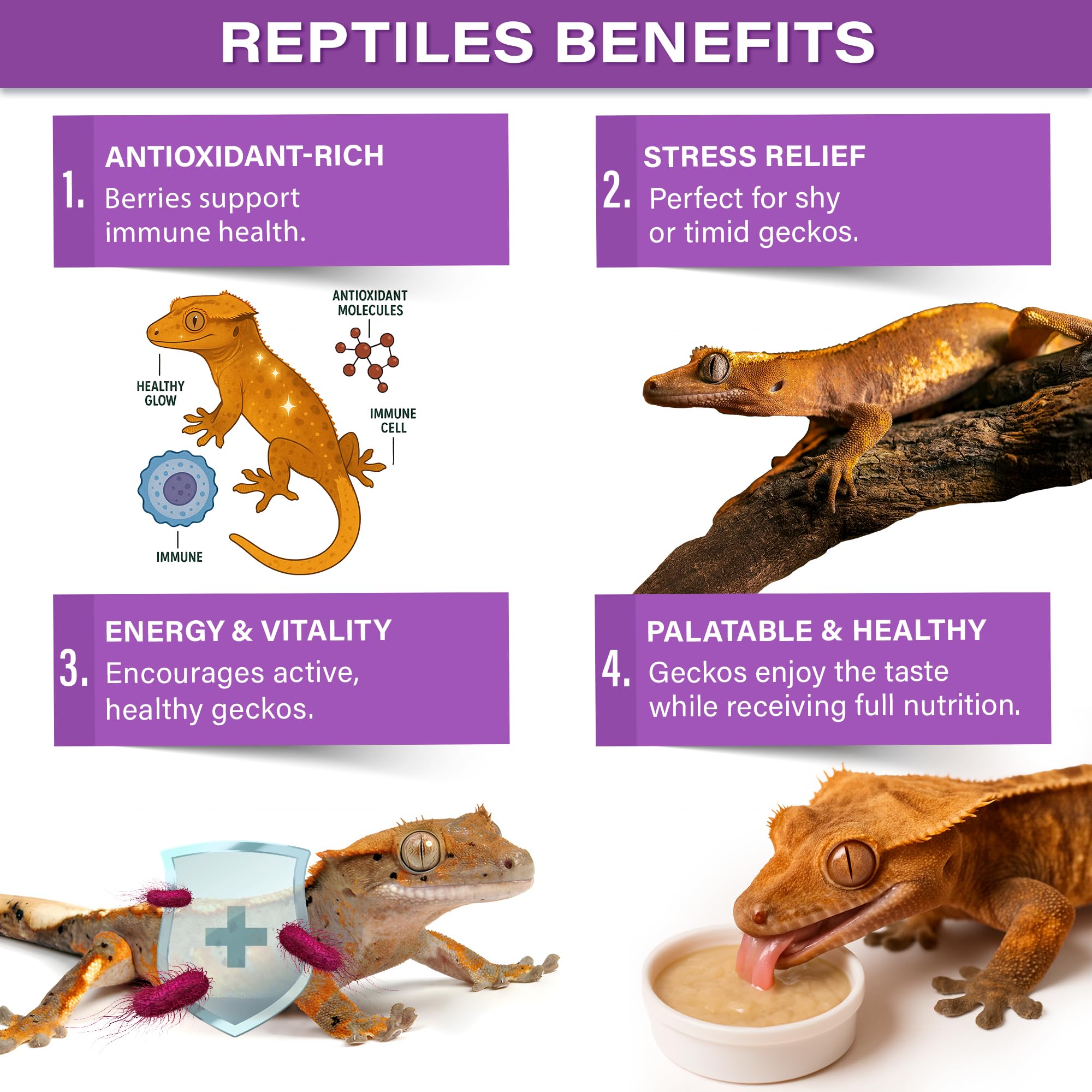 Gargeer Picky Geck Wildberry Burst ingredients featuring real fruit and insect protein for selective eaters.