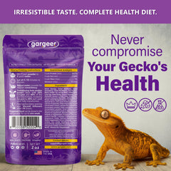 Gargeer Picky Geck Wildberry Burst serving on bowl highlights palatable texture for easier feeding.