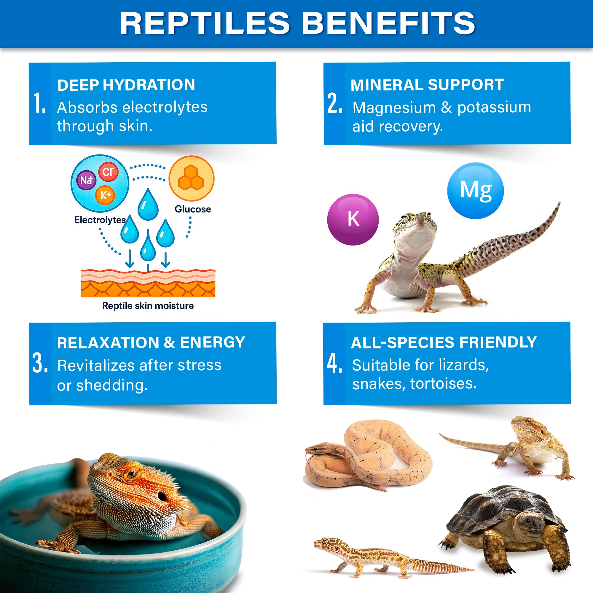 Gargeer ReptiSoak happy reptile after soak demonstrates improved mobility and vitality.