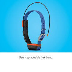 Garmin Alpha T 20 collar with dynamic tracking for longer field sessions.