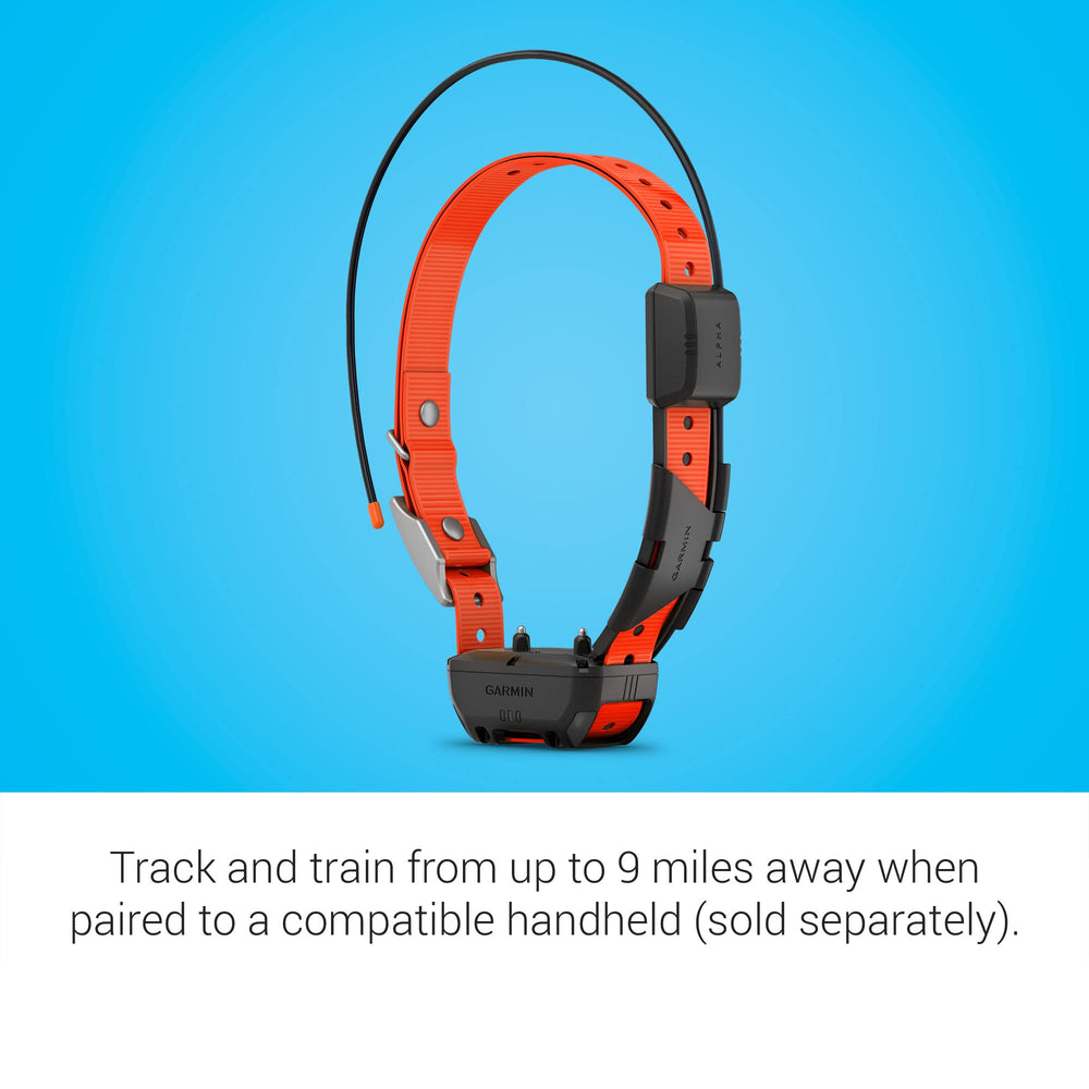 Garmin Alpha TT 25 LED colors image shows night visibility and quick dog identification