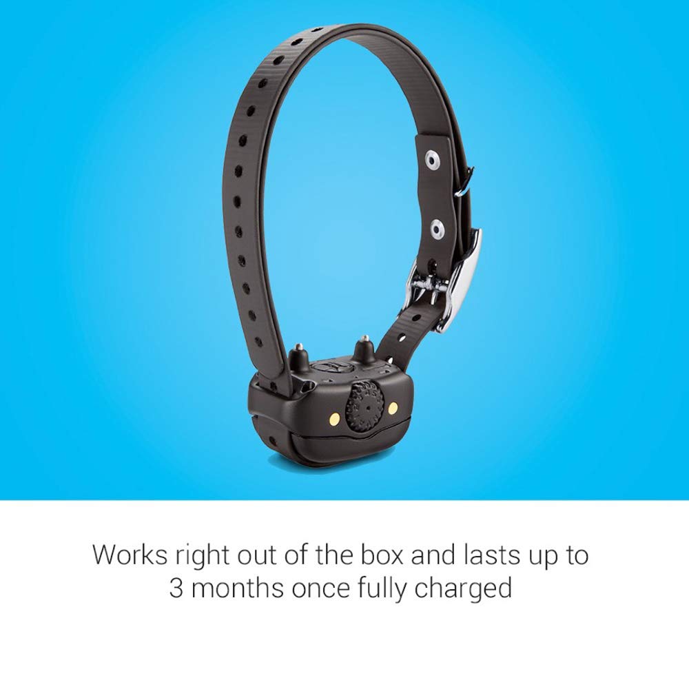 Garmin BarkLimiter Deluxe bark-odometer, tracks barks to show training progress.