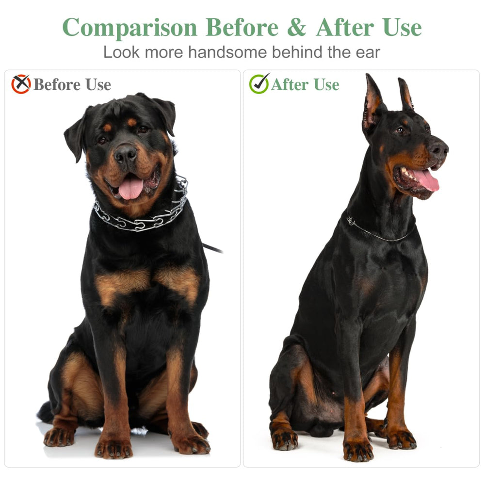 Garneck two vertical sticks illustrate precise correction for upright ear posture.