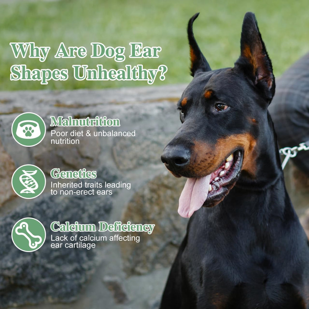 Garneck durable plastic construction emphasizes long-lasting support for active dogs.