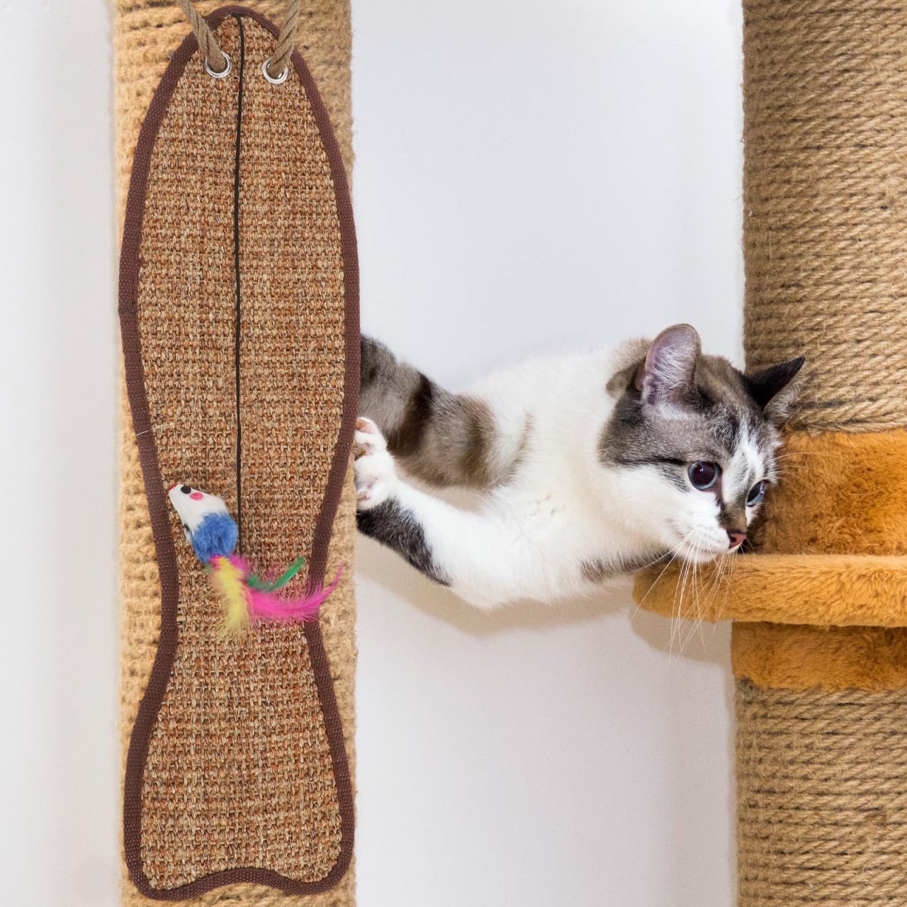 Garneck rollable scratch pad showing flexible placement and storage