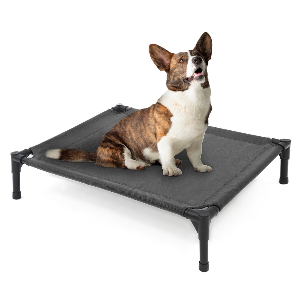 Garnpet elevated dog bed assembly demonstrating tool-free setup for quick indoor or outdoor use.