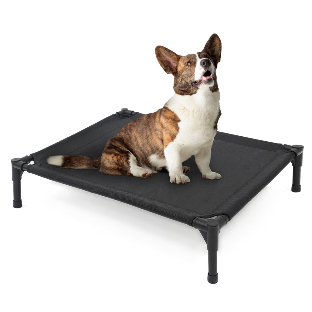 Garnpet elevated dog bed steel frame provides durable support for medium and large dogs.
