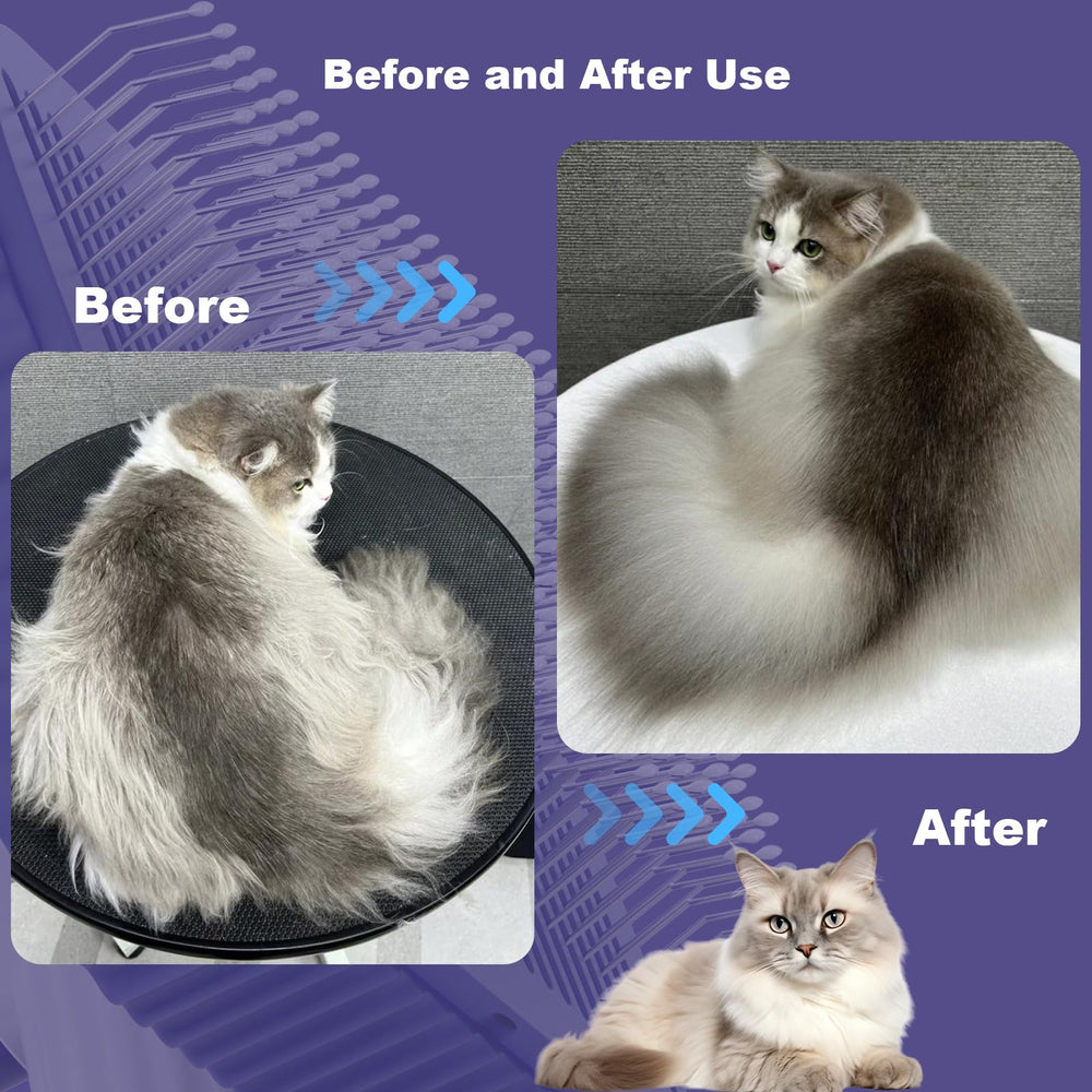 Garstor Cat Brush grooming session shows calm cat and easy grooming