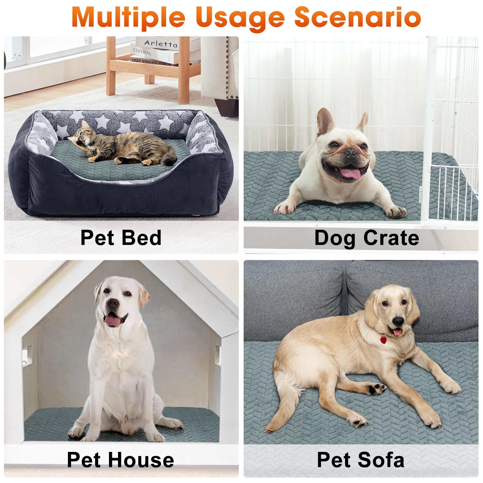 GASUR anti-bite safety design promotes pet safety