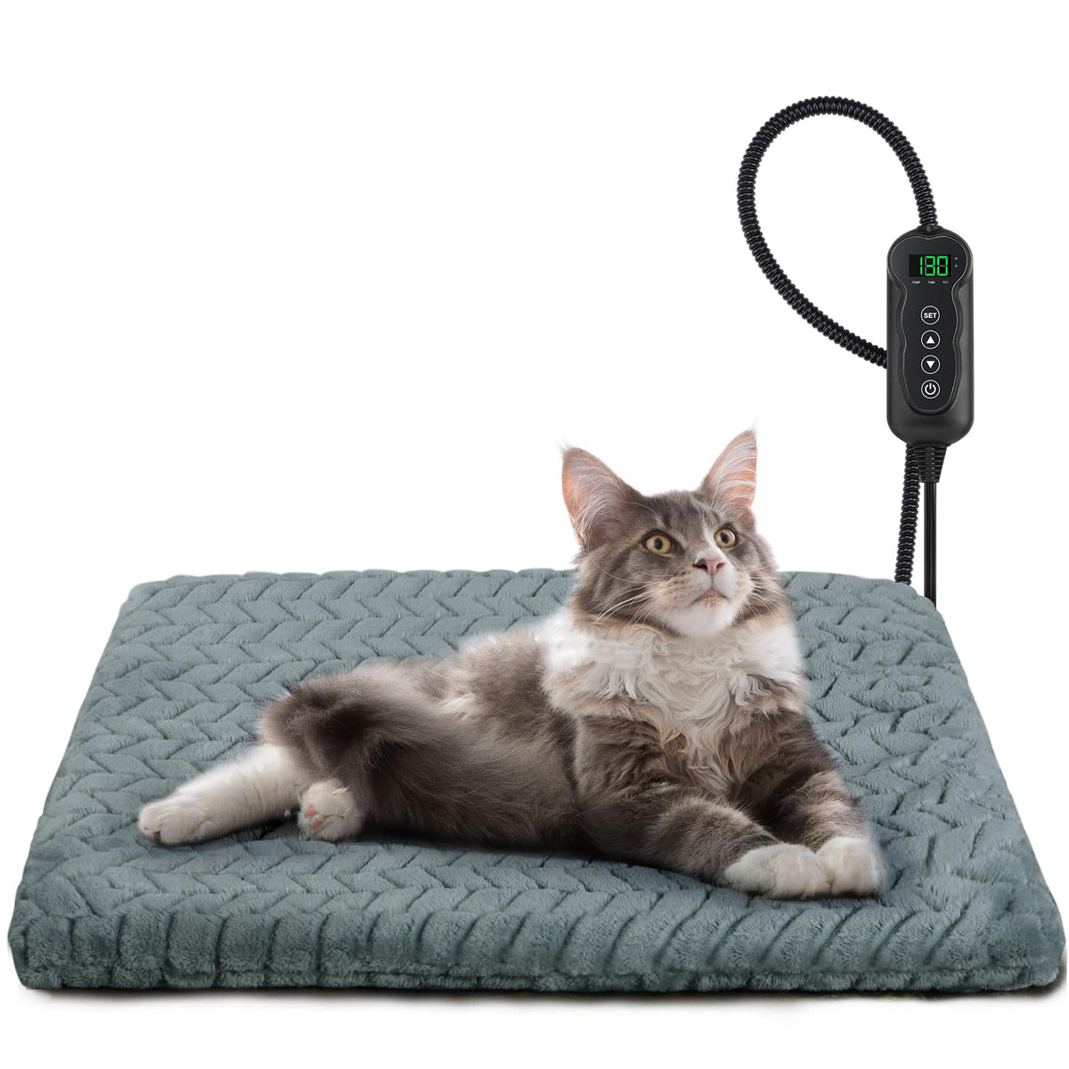 GASUR heated cat bed with velvet cover providing cozy warmth