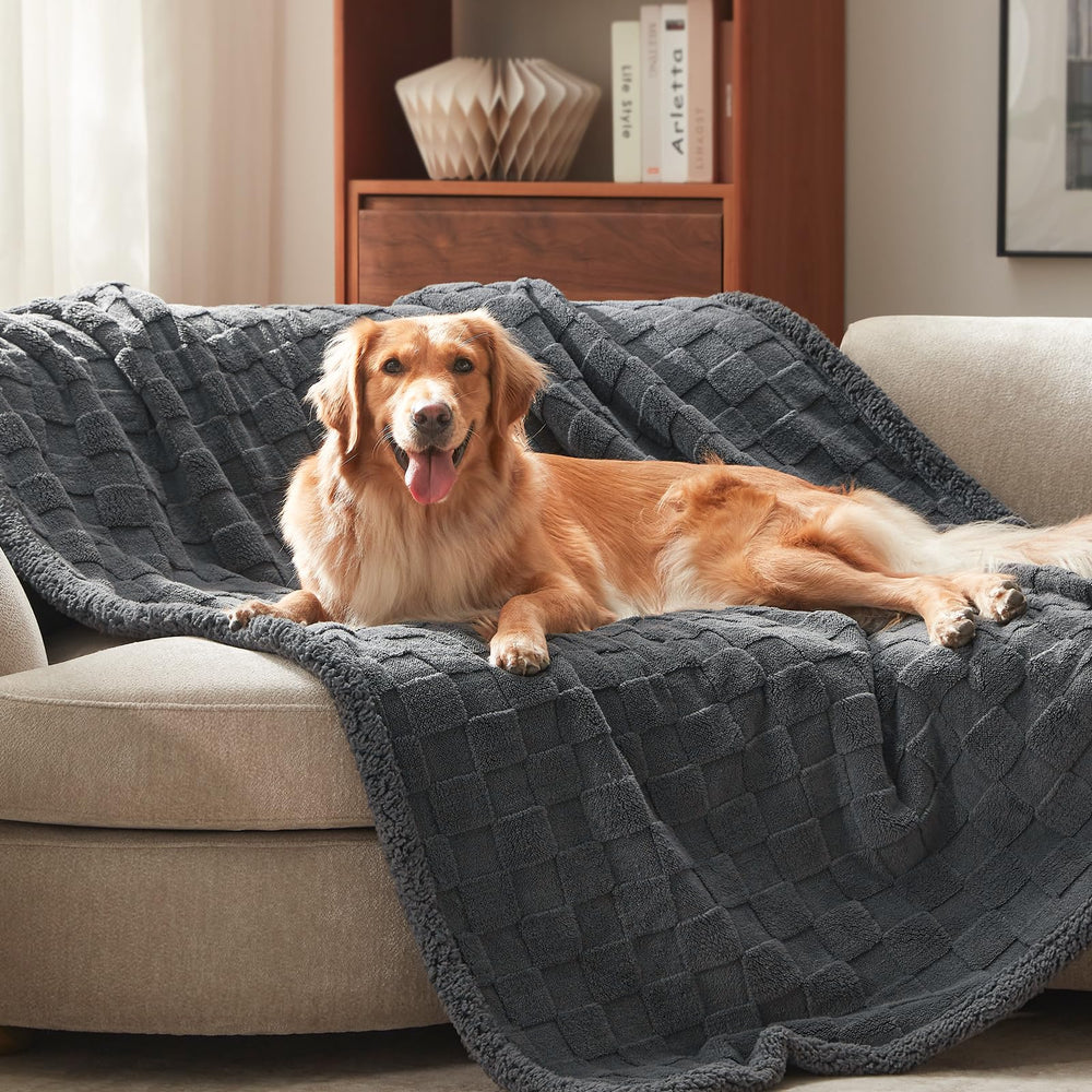 GASUR waterproof dog blanket on couch protects furniture from spills and hair.