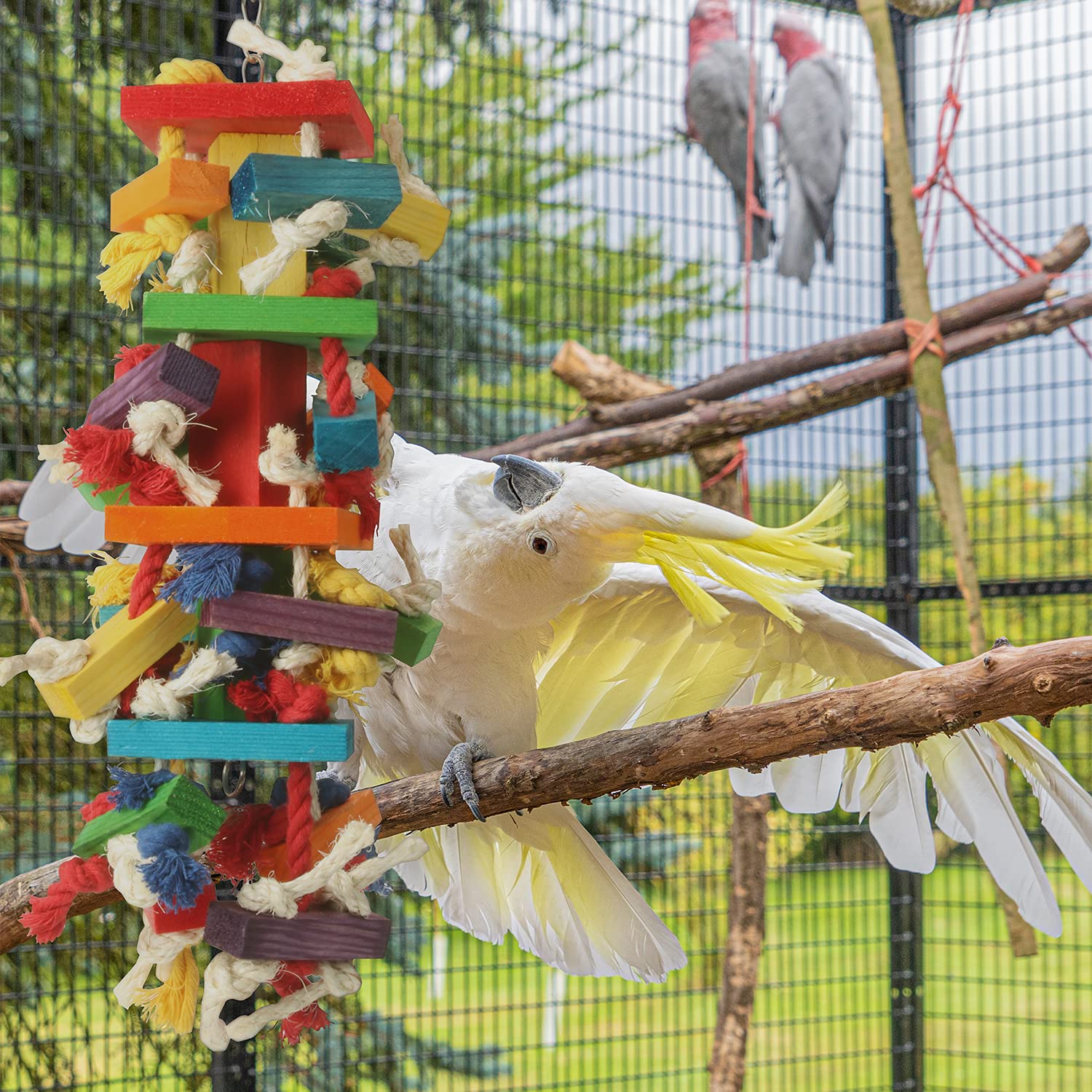 GATMAHE Durable Beak-Trim Toy withstands extended chewing sessions.