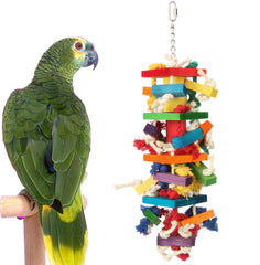 GATMAHE Large Bird Toy Bright Colors attract attention during enrichment sessions.