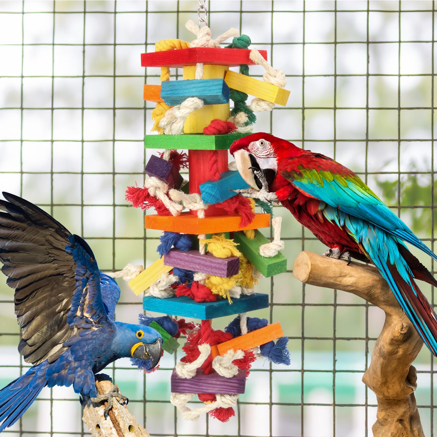 GATMAHE Parrot Play Climbing and Preening in one entertaining toy.