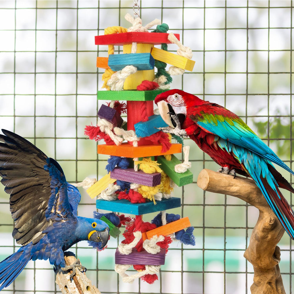 GATMAHE Parrot Play Climbing and Preening in one entertaining toy.