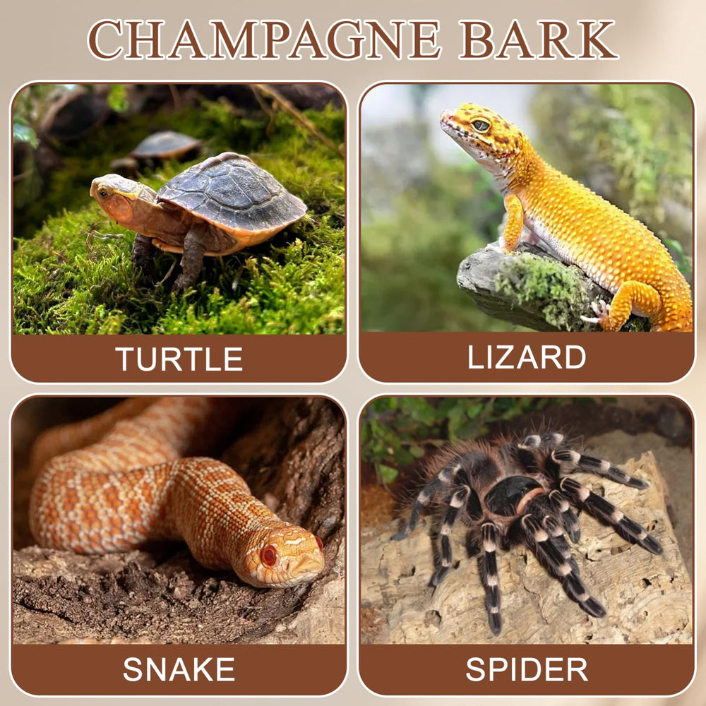 Gatuida reptile bark bedding-climbing-surface shows rugged grip for reptiles