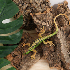 Gatuida reptile bark piece-2 closeup with varied shapes for hides