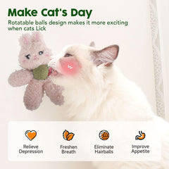 Gavpepy catnip toy teething chew supports playful dental exploration.