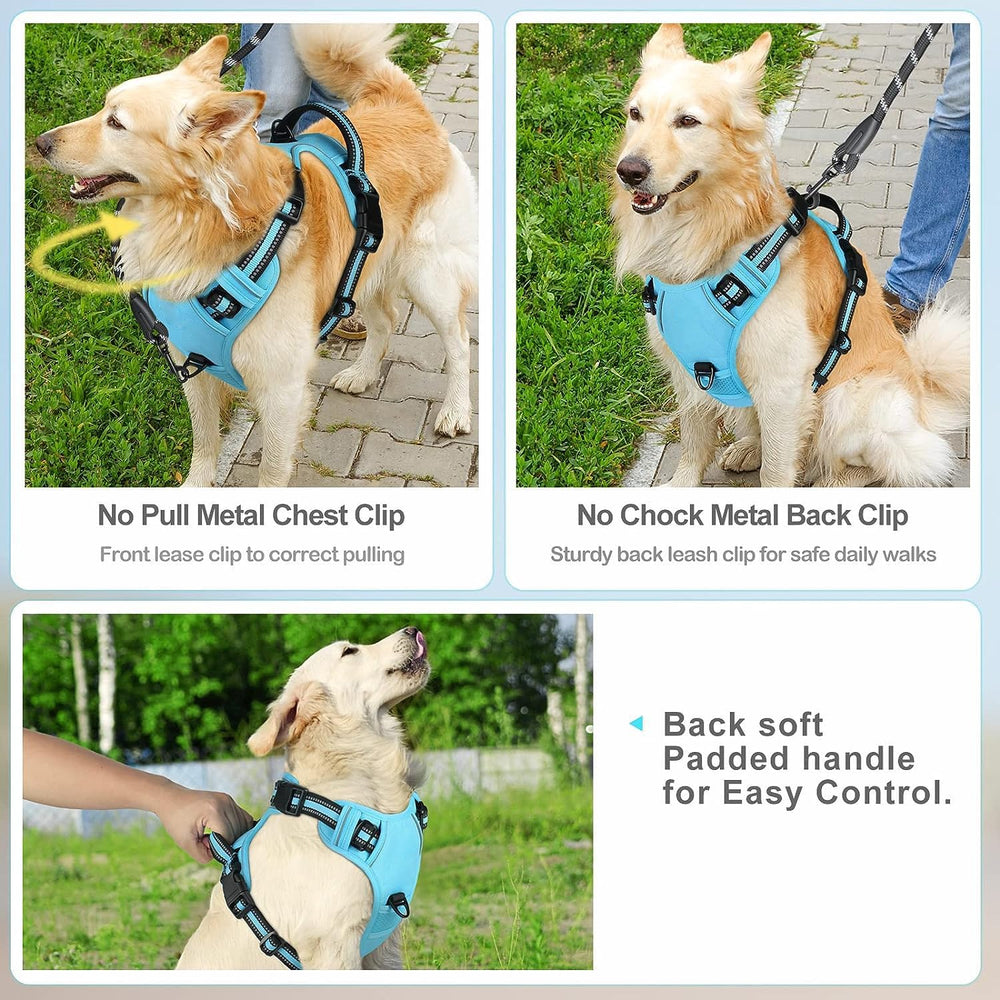 Gavpepy adjustable four-point fit ensures snug sizing for many breeds.
