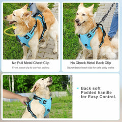 Gavpepy adjustable four-point fit ensures snug sizing for many breeds.
