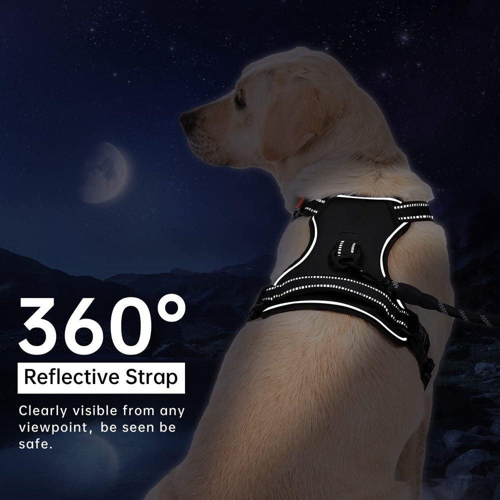 Gavpepy reflective straps image emphasizes safety and visibility in low light.
