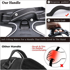 Gavpepy soft padded breathable mesh keeps dogs cool and comfortable.