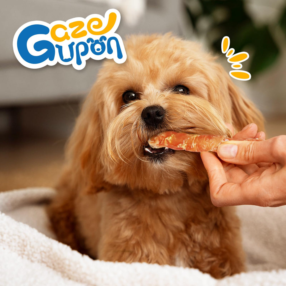 Gazeupon dog dental treats catering to training sessions and long-lasting chew time