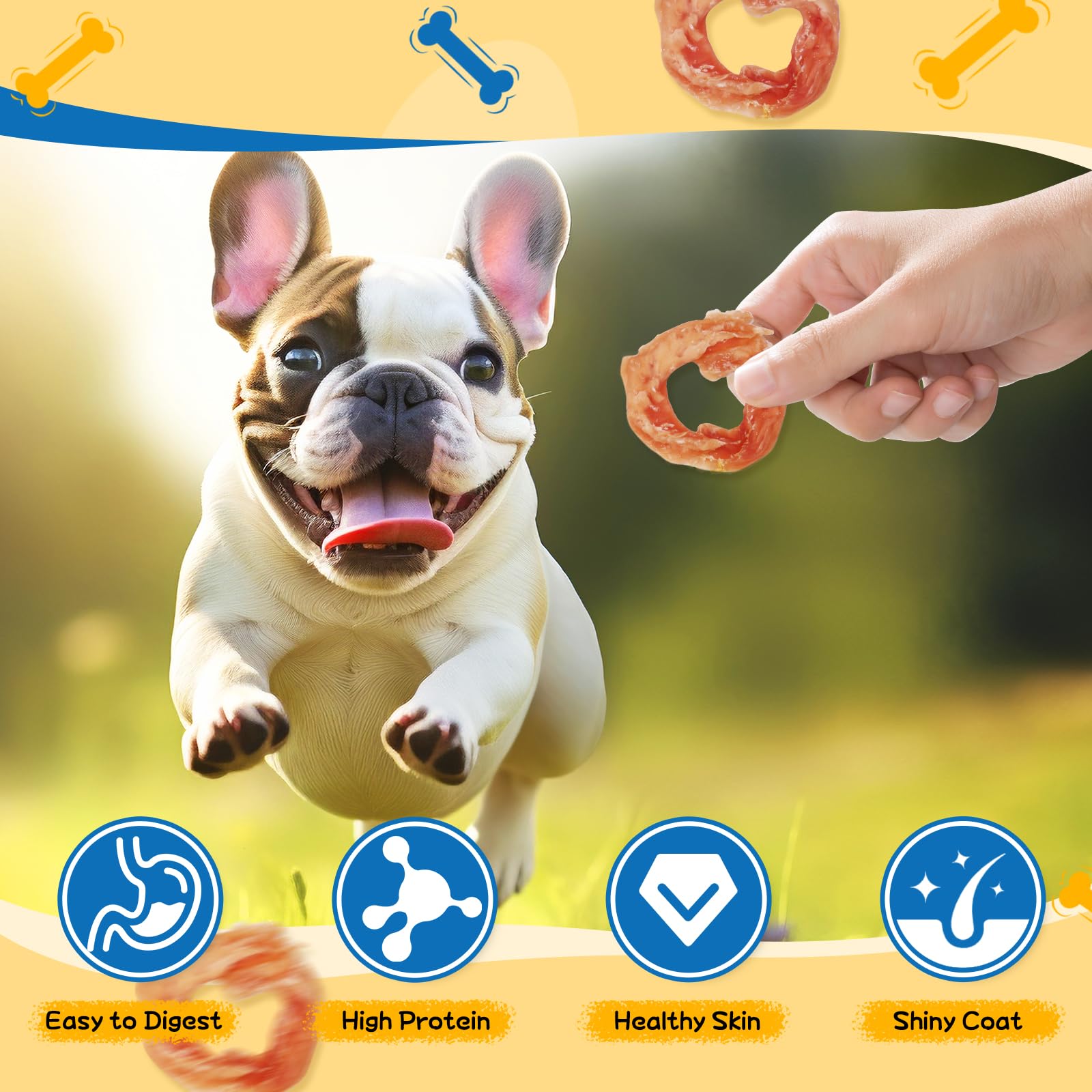 Gazeupon Dog Treats Chicken Jerky Rings dog chewing demonstrates engaging chew for focus.