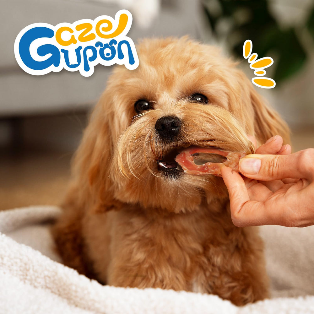 Gazeupon Dog Treats Chicken Jerky Rings owner with dog sharing a treat.