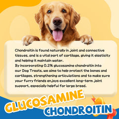 Gazeupon Dog Treats Chicken Jerky Rings ring close-up shows bite-sized, easy-to-portion snack.