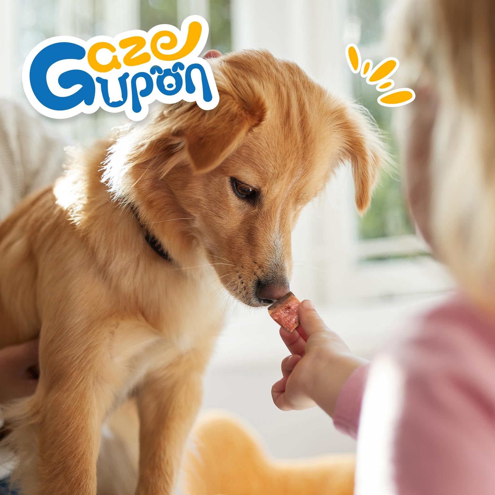 gazeupon dog treats no fillers artificial flavors for cleaner, protein-forward snacking