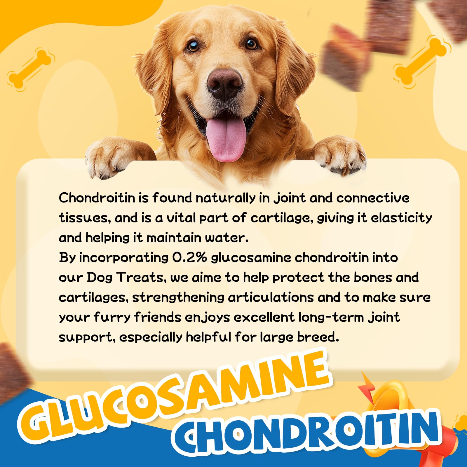 gazeupon dog treats training session bite shown in a friendly home setting