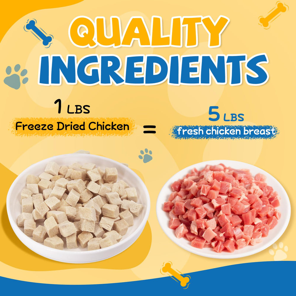 GazeUpon chicken pieces close-up showing crisp freeze-dried texture for training rewards.
