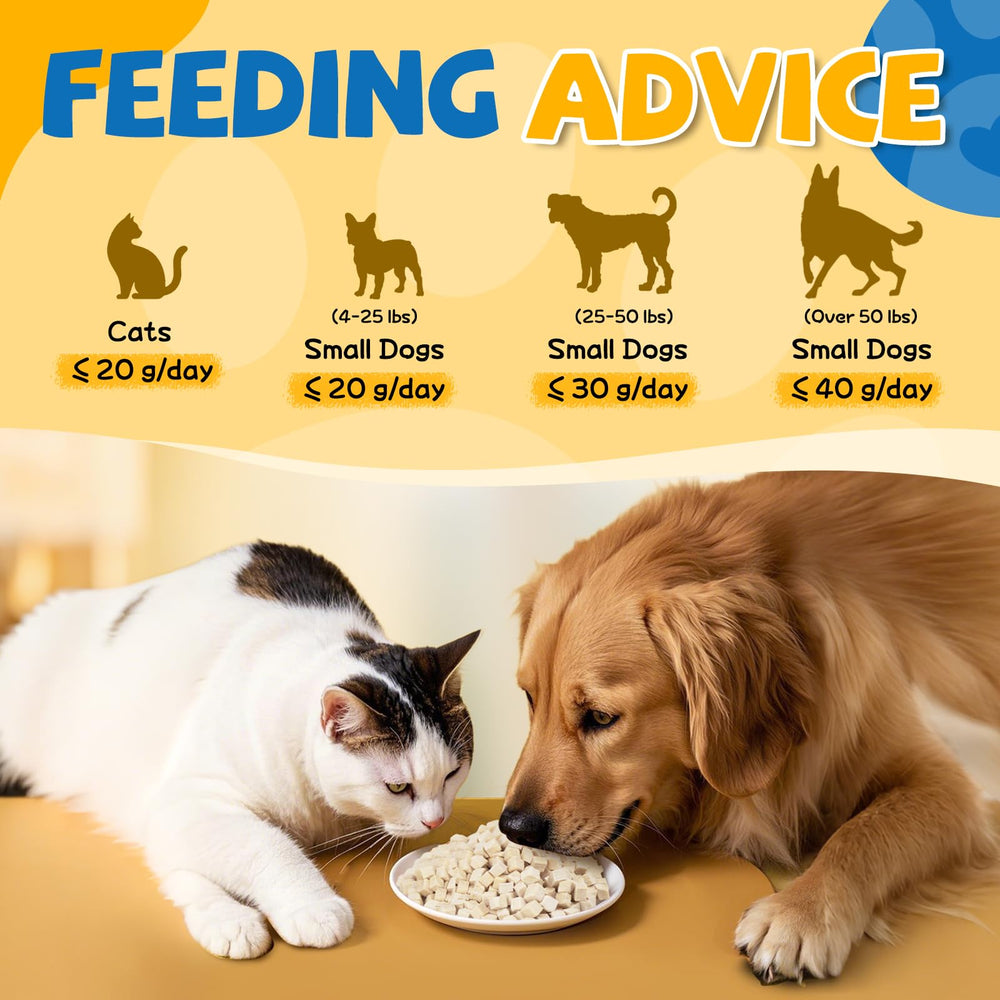 GazeUpon soak-to-boost hydration by adding water to freeze-dried treats.