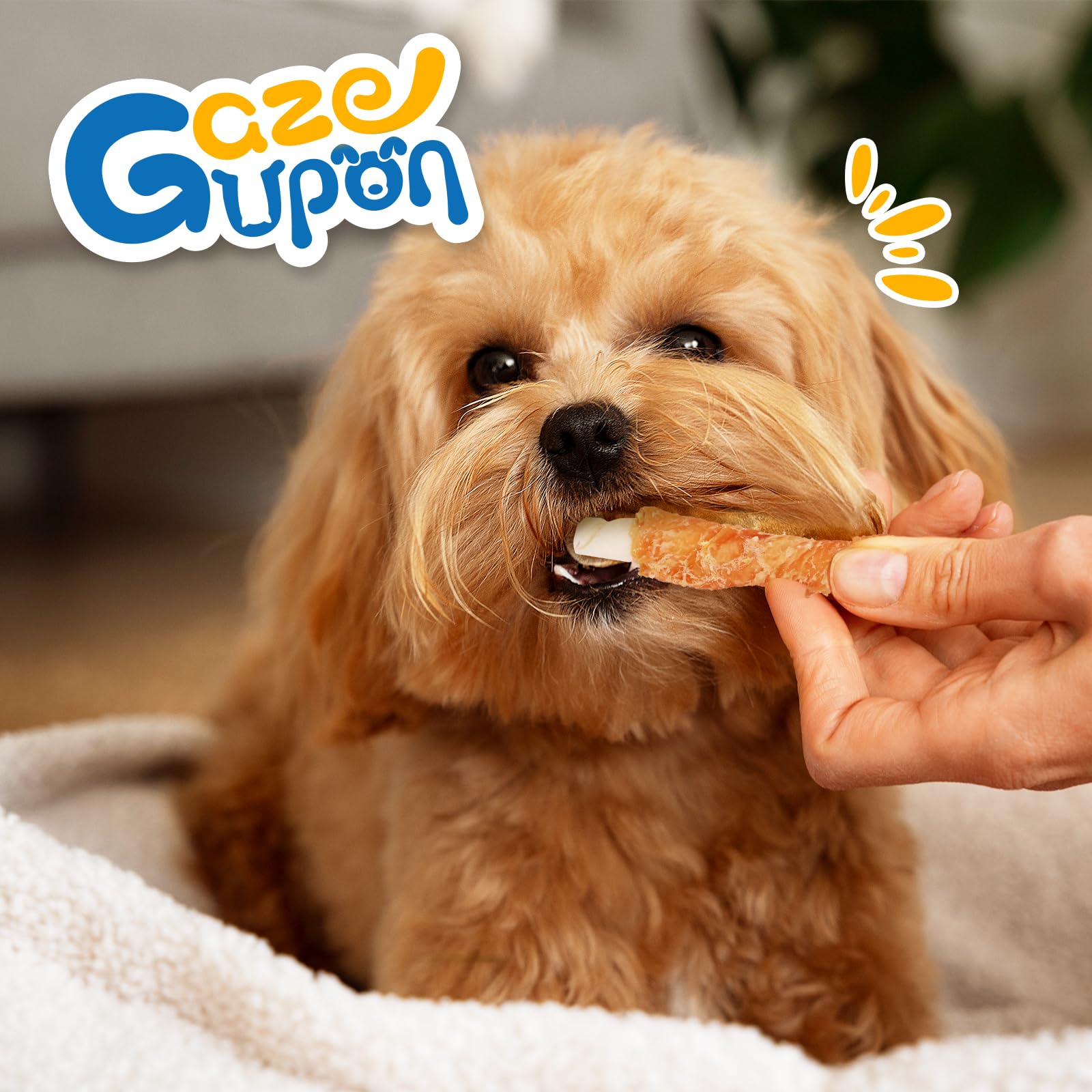 Gazeupon wholesome treat on-the-go moment with a happy pup.