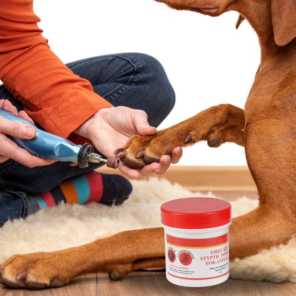 G.B.S Styptic Powder grooming-kit-item fits home and professional kits.