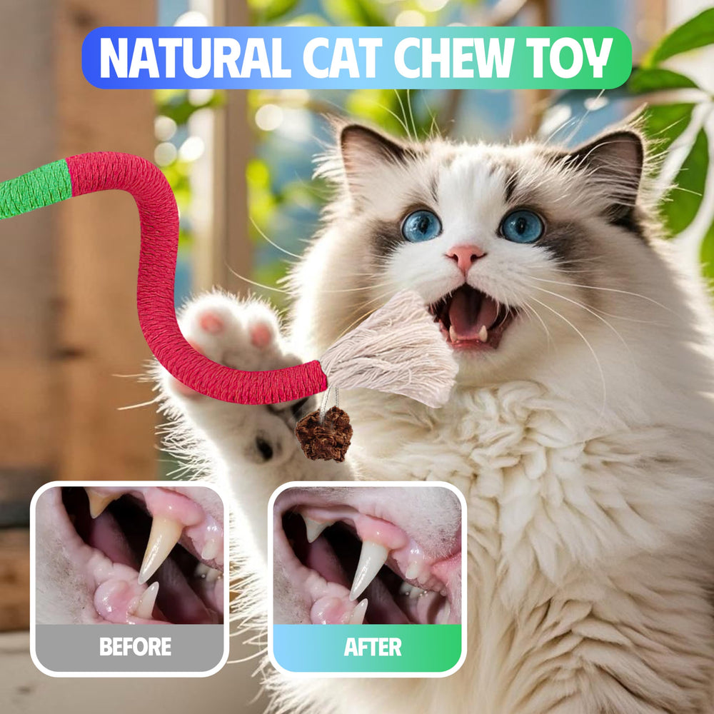 GBSYU refillable catnip bag makes the set irresistible and easy to refresh