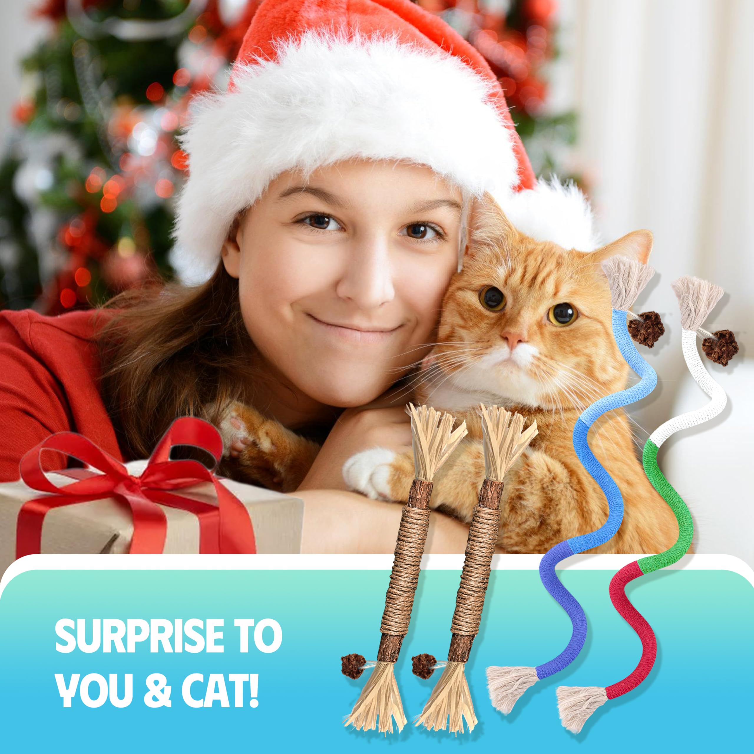 GBSYU indoor cat enrichment moment captures a bored cat enjoying interactive toys.