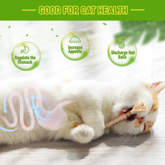 GBSYU silvervine dental cat toy sticks illustrate teeth cleaning during play