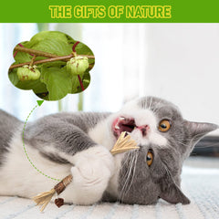 GBSYU silvervine sticks for aggressive chewers demonstrate durability and safety