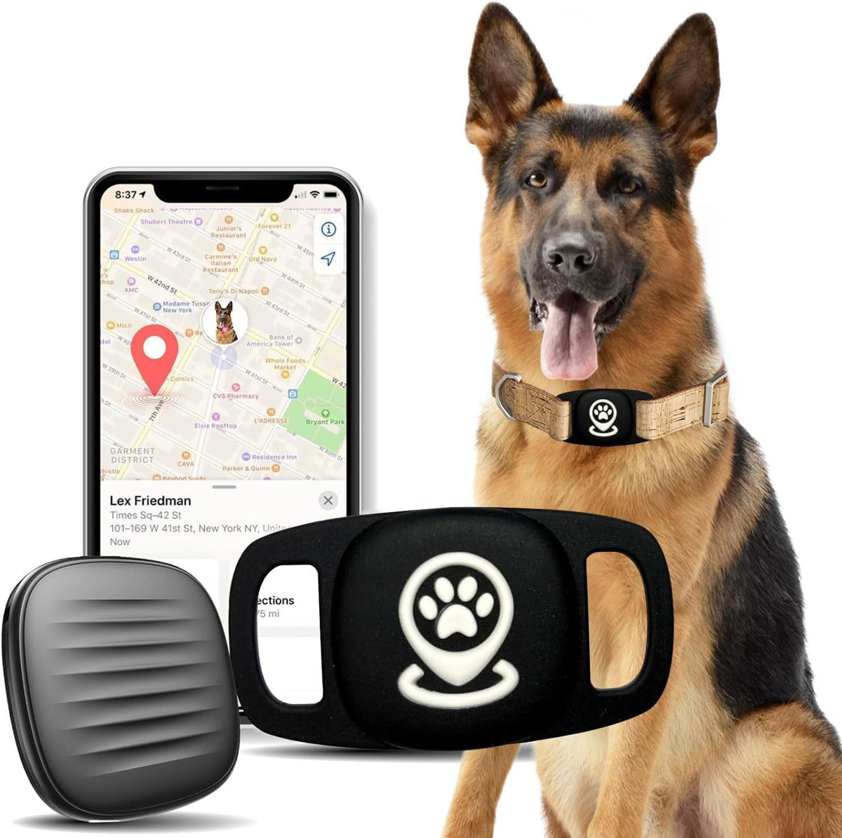 GBVP pet tracker on a dog's collar for reliable location updates