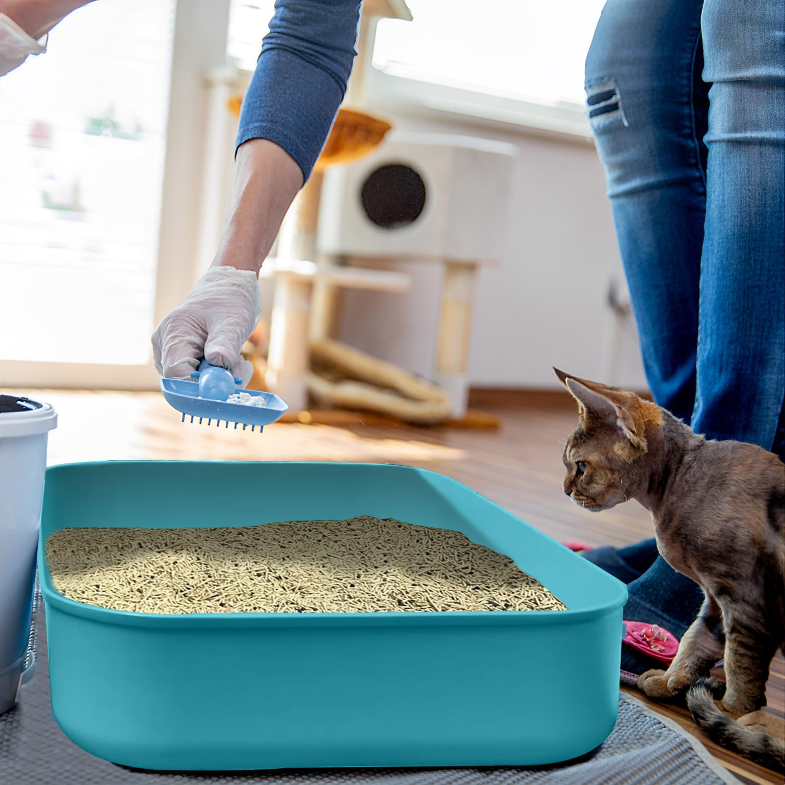 GCVOPTON small litter box blue dimensions 13.9 by 9.8 by 3 inches.